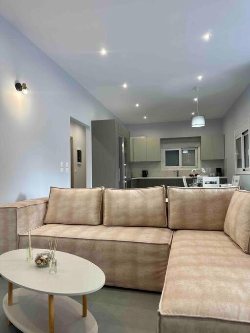 Zouf House Apartman Panajía Meszoszporítisza Kültér fotó